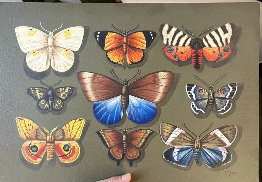 Butterfly painting by Melisa